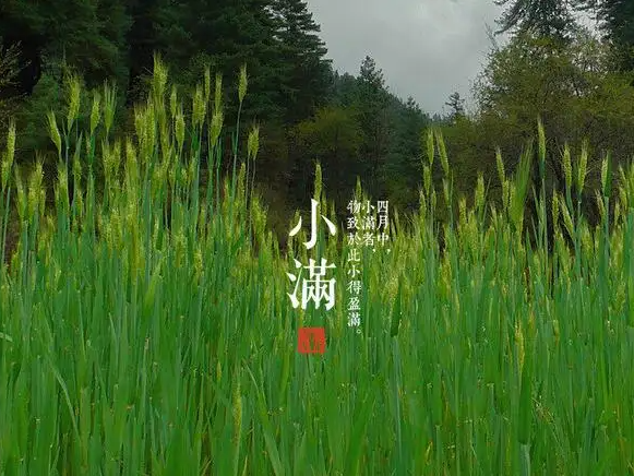 小滿(mǎn).png